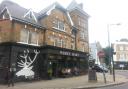 The White Hart in Crystal Palace wins PubSpy's Golden Pint award