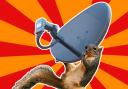 The Fire Brigade was called to rescue a Wandsworth squirrel from a satellite