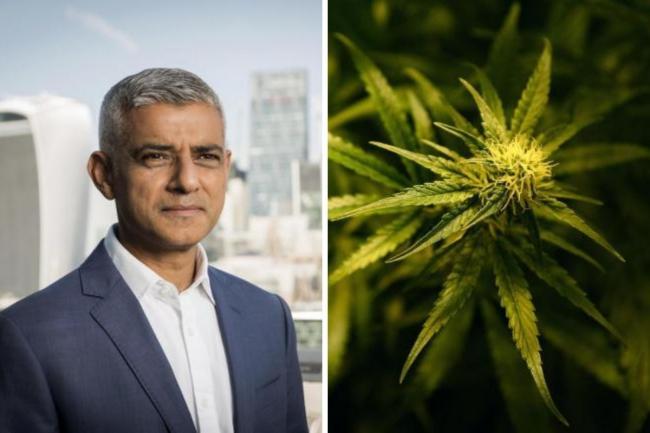 Khan says SE London drug decriminalisation scheme would apply only to cannabis