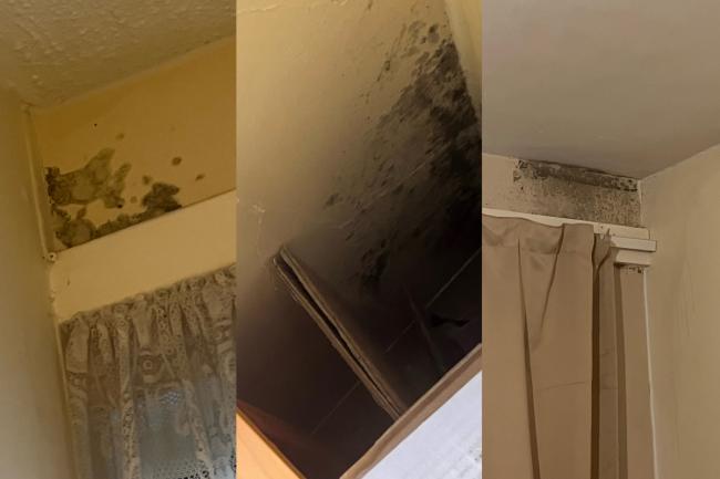 'My kids are suffering from Bronchitis due to my overcrowded, mouldy Greenwich home'
