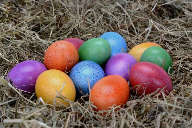 News Shopper: Easter Eggs. (Canva)
