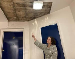 News Shopper: Nicola Branch in her stairwell hallway where builders knocked down the crumbling ceiling (photo: Robert Firth)