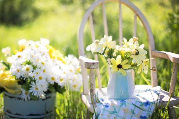 News Shopper: A white chair surrounded by flowers. Credit: Canva