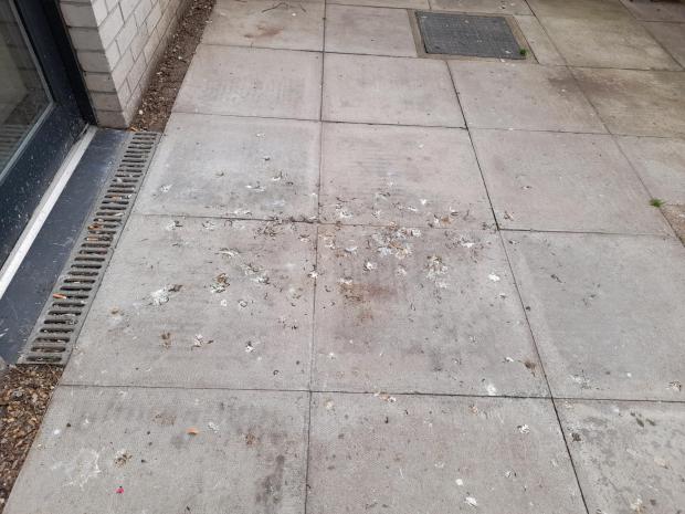 News Shopper: The amount of pigeon droppings around the estate is one of the complaints residents raised (photo: Kiro Evans)