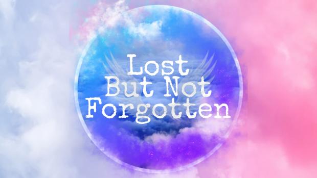 News Shopper: Lost But Not Forgotten logo (images: Ben Tippett)