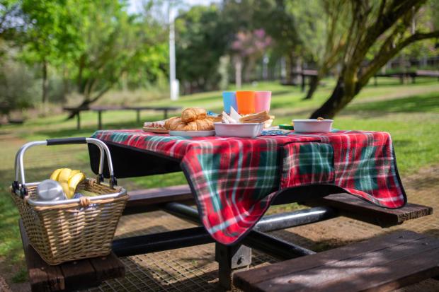 News Shopper: A picnic laid out on a bench. Credit: Canva