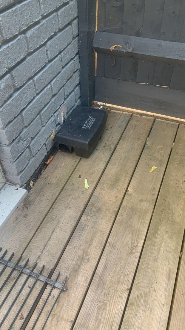 News Shopper: The family claim they have had to put out rat traps themselves to handle their pest problem