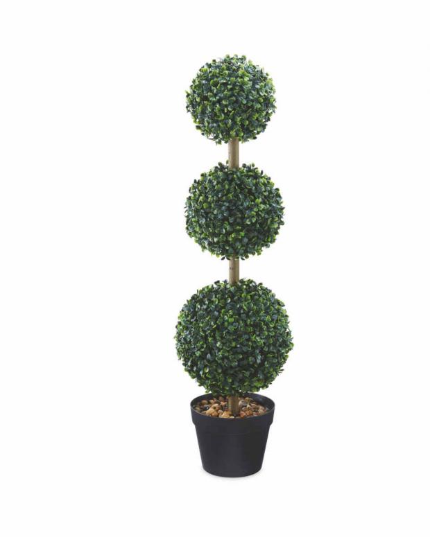 News Shopper: Gardenline Topiary Trio (Aldi)