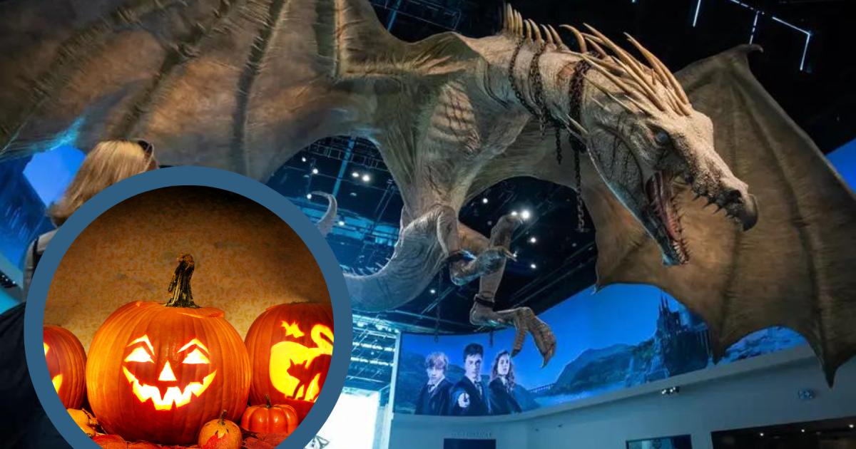 Harry Potter Warner Bros Studio London: Dart Arts returns for Halloween - Vimarsana News