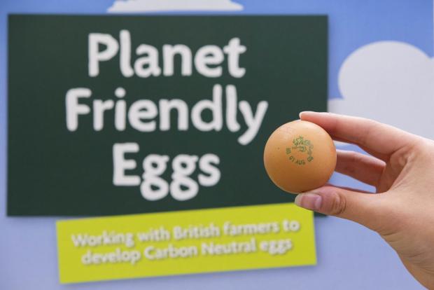 News Shopper: The eggs will be available in a certain number of stores at first (PA)