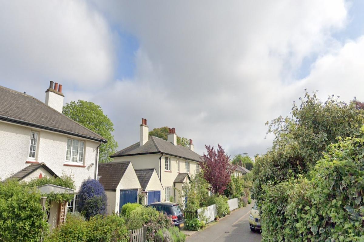 Families' houses on Roseway in Dulwich back on to Griffin Sports Club (photo: Google Street View)