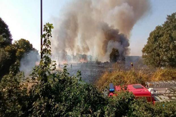 Photos of a fire at Peartree Nature Reserve by Sherin Sullivan