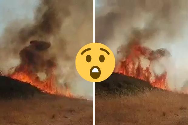 Watch the moment shocked onlookers capture fire destroying a park. Photos and video by Andrew Lee