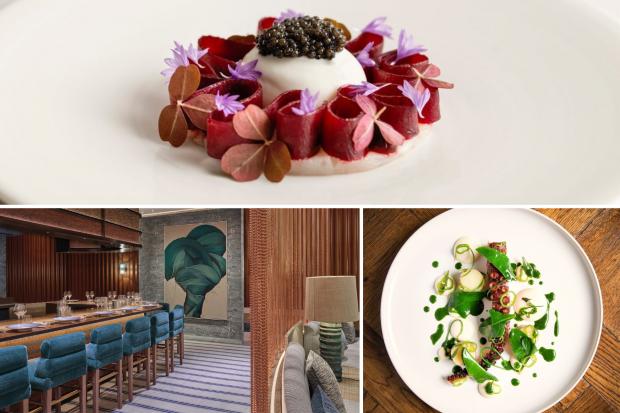 Find out what London restaurants won big at the 2024 AA Rosette Awards.