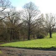 Guided walks are taking place every Thursday and Sunday through Oxleas Woods in Shooters Hill