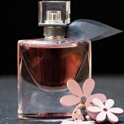 The Perfume Shop has lots of deals for this Mother's Day - see 10 of the best here (Canva)