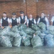 The cannabis was seized from a home in Chislehurst