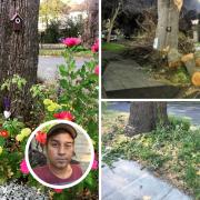 Kiran, 41, decided to brighten up the land in Southend Road in Beckenham in 2016 which has been damaged by Bromley Council contractors twice this year