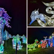 Lightopia Festival - Crystal Palace Park