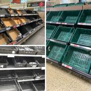 Empty shelves and no stock as the tomato shortage continues in supermarkets across south east London