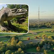 This £17.5M project includes the restoration of the Grade I listed Crystal Palace dinosaurs and the landscaping around their islands as well of the regeneration of the Italian Terraces