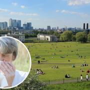 Wimbledon Common named London park with lowest pollen count