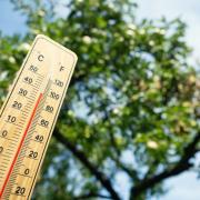 Some forecasters have predicted a heatwave this month, and the Met Office have had their say too