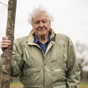 When is David Attenborough's Secret World Of Sound coming out?