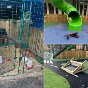 Kids Inc Day Nursery Gravesend: Chickens dead after break-in