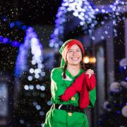 Elf At The Door will be returning to south east London this year