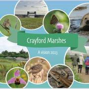 Picture: Friends of Crayford Marshes