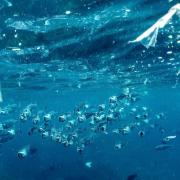 Plastic Waste in Ocean