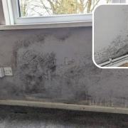 Kirsty Bunyan lived in a two-bedroom ground floor flat in Colebrook Rise and noticed that the issues with mould started soon after they moved into the property, getting worse in the winter months and coming back even after being cleaned away