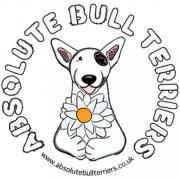 Bull terriers in fancy dress for Jubilee-themed dog funday