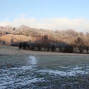 If you’re looking for somewhere a little magical to explore this winter, there’s a woodland in Surrey that brings a famous children’s story to life.
