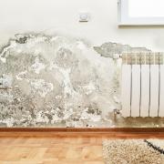 An example of the damage that damp can cause to homes. Photo: PA/thinkstockphotos