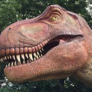 See the dinosaurs at London Zoo's new Zoorassic Park. Photo: Sarah Bull