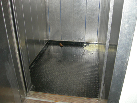 News Shopper: FILTH: Poo, vomit and urine in the lift