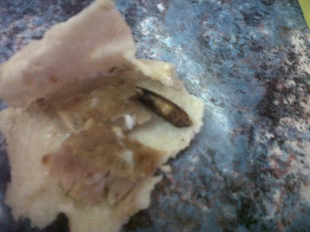 News Shopper: A snap of the cockroach lying in Mr Powell's pitta