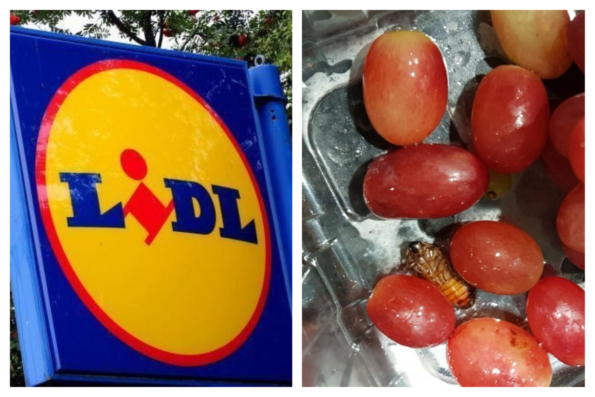 Dad 'freaked out' after finding 'vermin cockroach' in Lidl grapes he fed to his son
